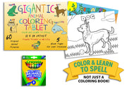 11 x 14 animal coloring and learn-to-spell pad with crayons by Debra Dale Designs