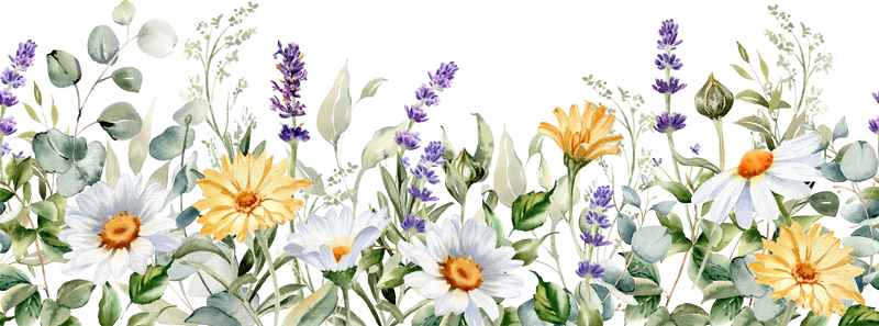 4” x 6” Note Cards – 50 Count – Wildflowers Design with Envelopes