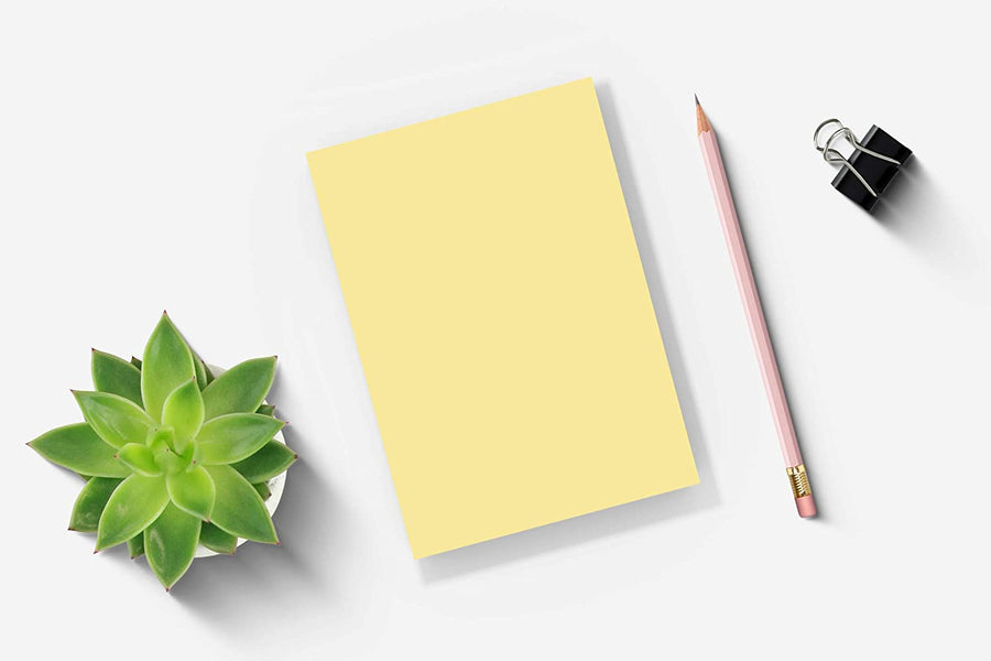 5” x 7” yellow blank notepad with 50 sheets, pencil, black binder clip, and succulent plant on a white background.