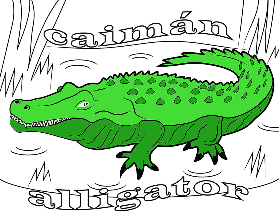 GIGANTIC ANIMAL BILINGUAL COLORING BOOK -  LITTLE ARTIST PACKAGE